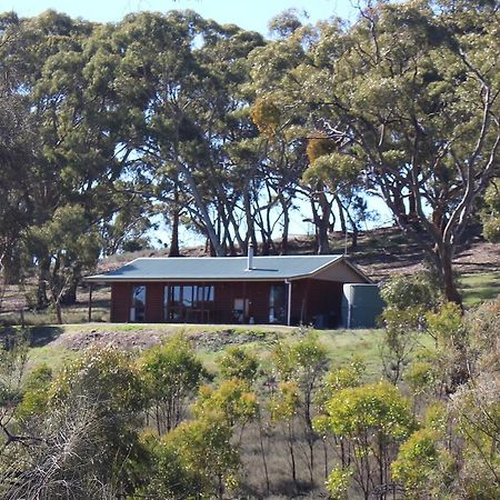 Bed and Breakfast Molly'S Chase Emu Flat Exteriér fotografie